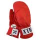 XTM Boxing