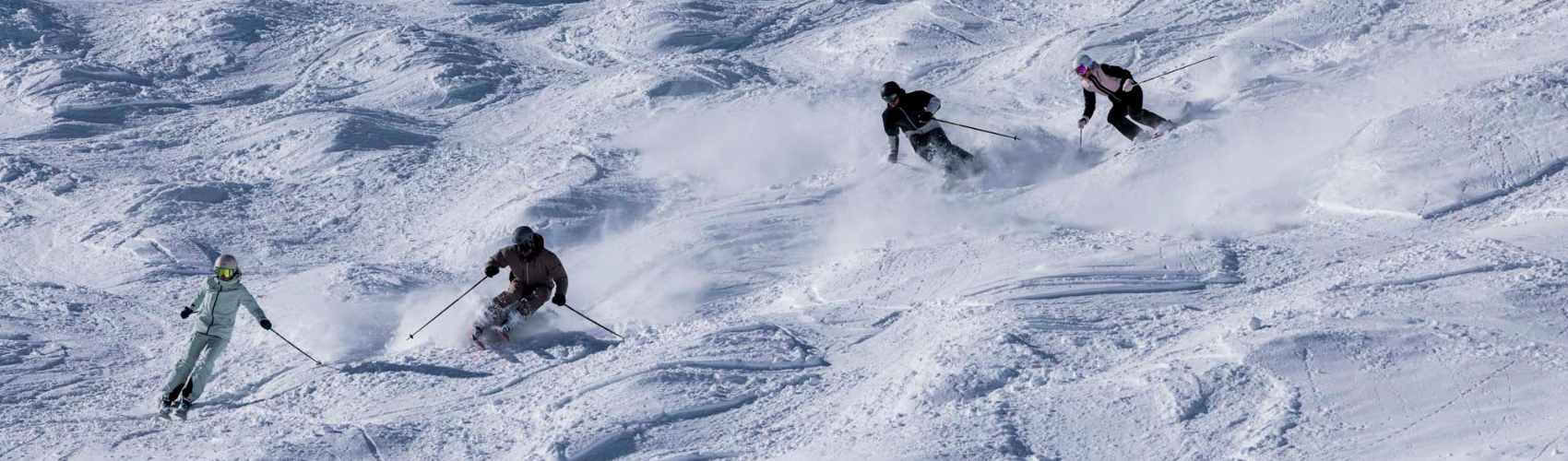 Skievent i Snowfun - kommende skiinstrukt&oslash;rer